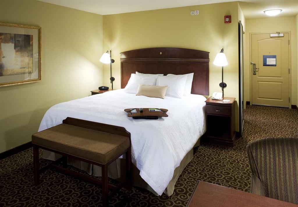 Hampton Inn&Suites Rochester-North Zimmer foto