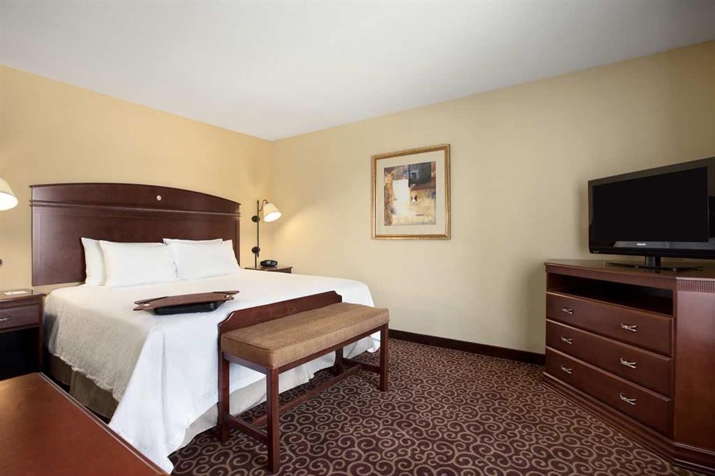 Hampton Inn&Suites Rochester-North Zimmer foto